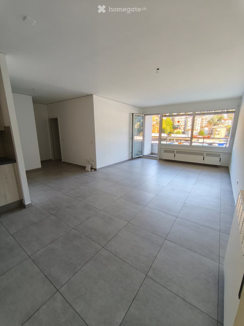 Beautifil and completely new apartment in Chiasso (2)