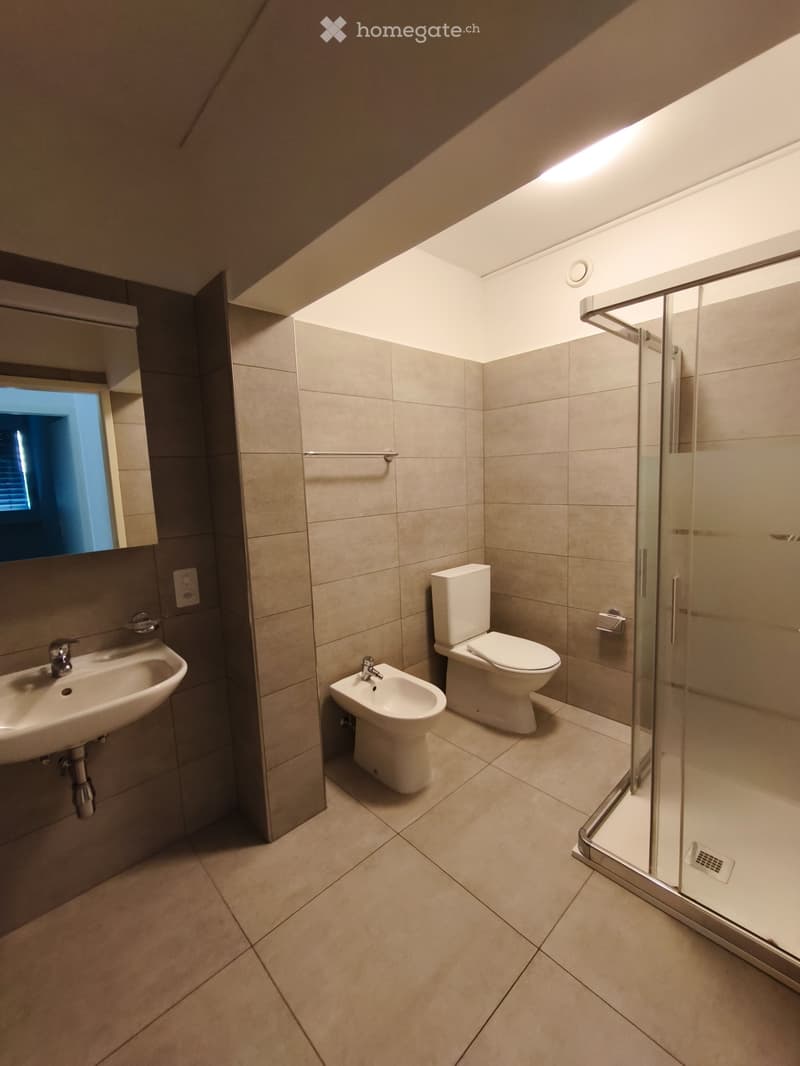 Beautifil and completely new apartment in Chiasso (4)