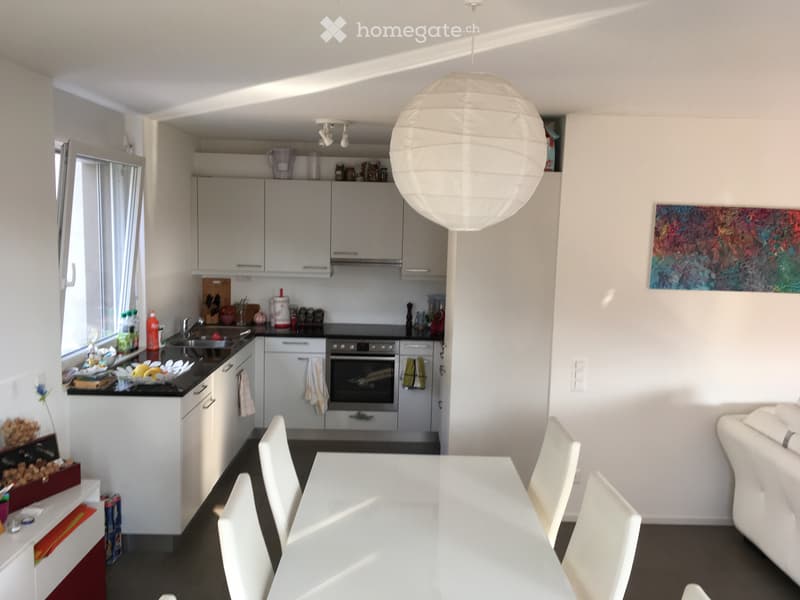 Grande e luminoso appartamento di 3 locali con ampio terrazz (2)