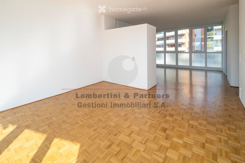 APPARTAMENTO 2.5 LOCALI a Balerna (4)