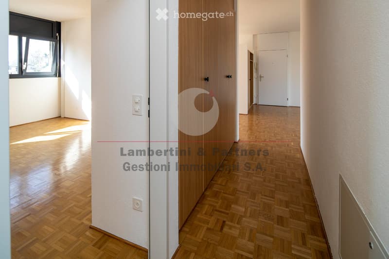 APPARTAMENTO 2.5 LOCALI a Balerna (6)