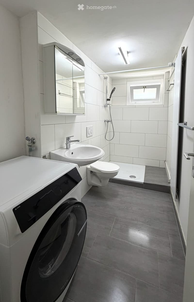 Sonnige Terrasse mit Wiese & grosszügige 3.5 Zimmer Wohnung (4)