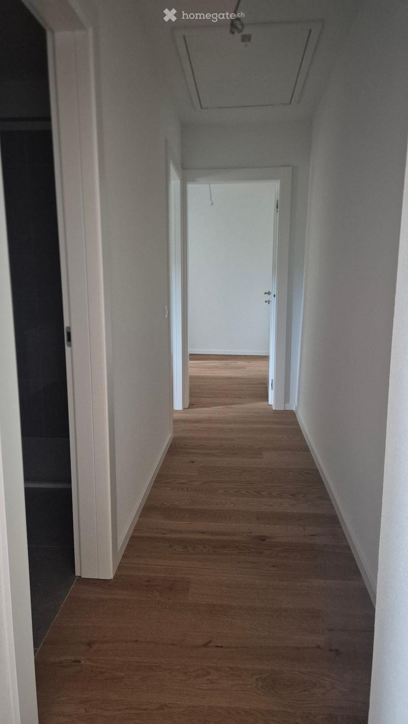 Affittasi appartamento (4)