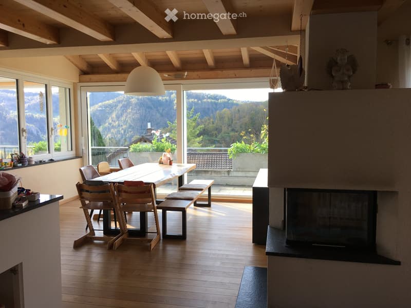 Top EFH an Sonnenhang mit unverbaubarer Weitsicht (2)