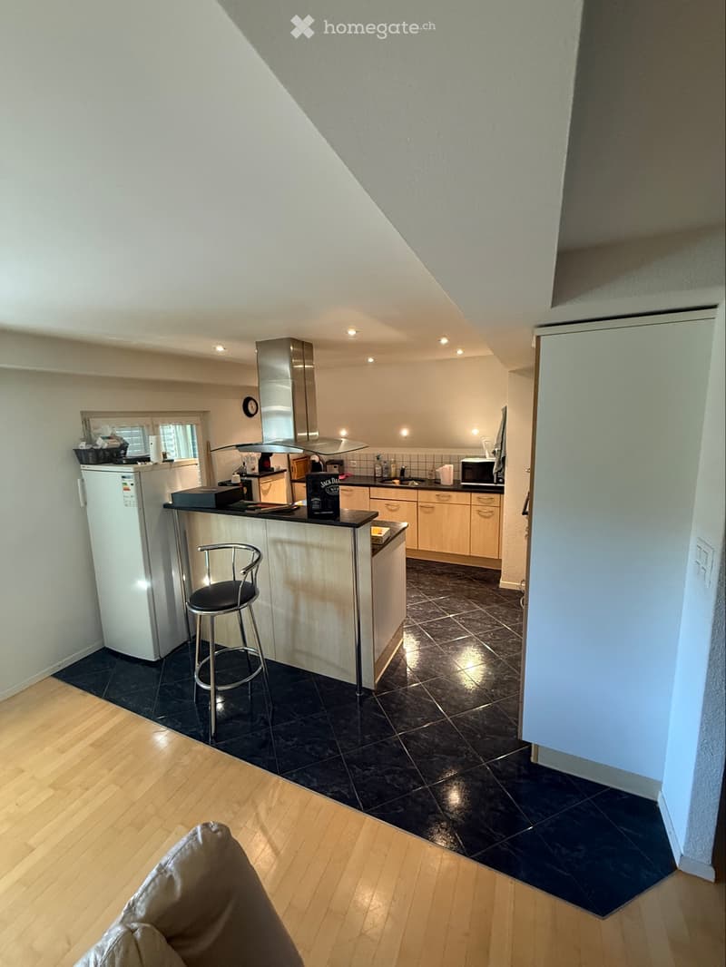 4 1/2 Dachwohnung 3OG (3)