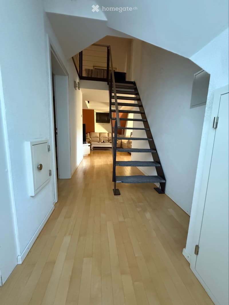 4 1/2 Dachwohnung 3OG (2)