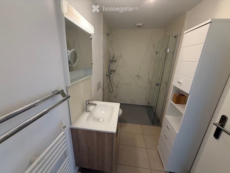 möblierte 3 1/2 Zimmer Ferienwohnung für Ganzjahresmiete (4)
