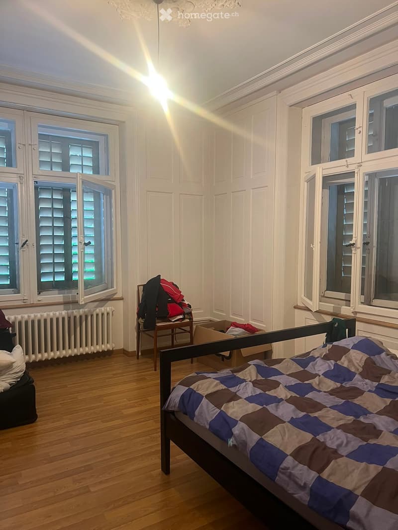 Wunderschöne, helle Altbauwohnung an zentraler Lage (2)