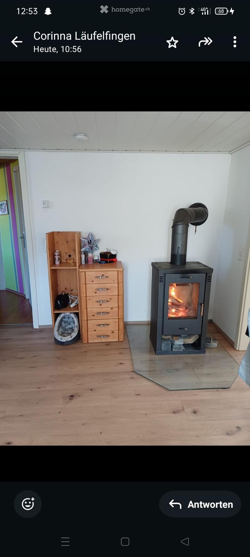 6,5 Zimmer Altbauwohnung mit grosser Terrasse und Grünfläche (3)