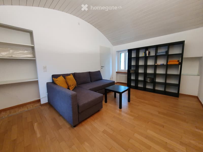 Grazioso, tranquillo e indipendente 2,5 locali. Ammobiliato (4)