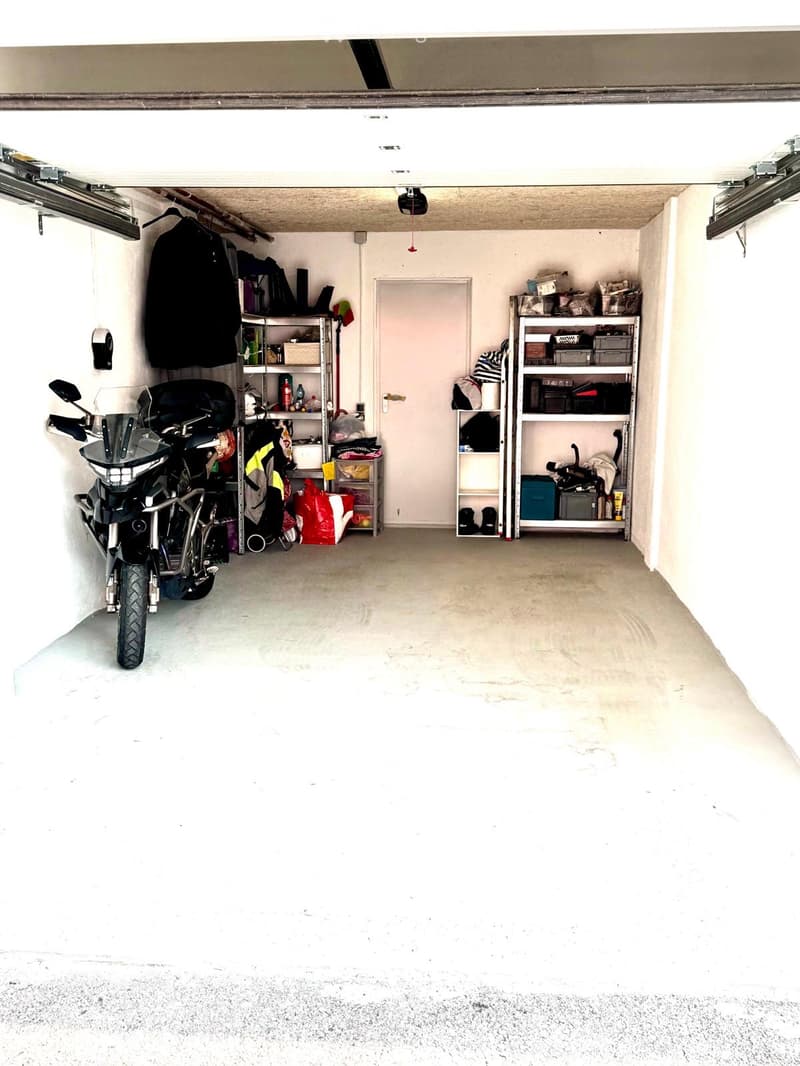 Massagno 4.5 moderno (4)