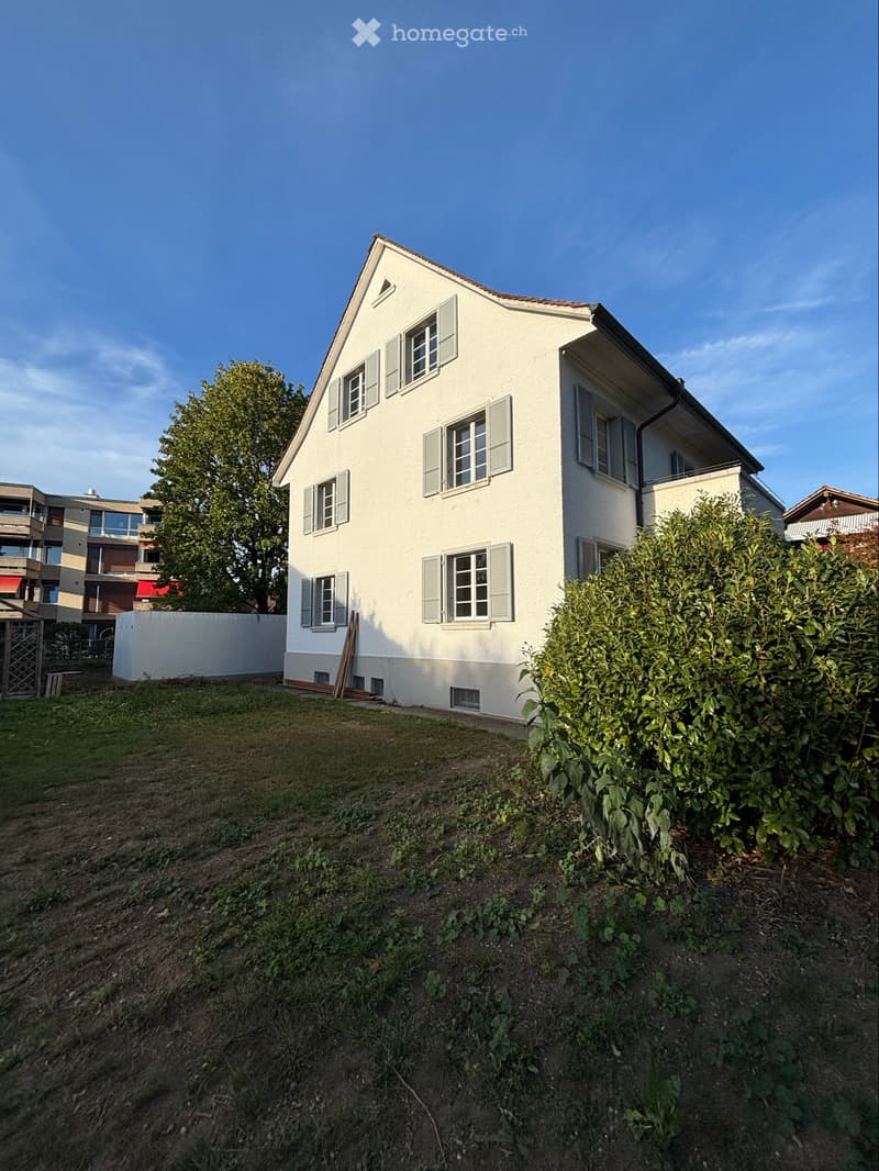 5,5 Zimmer Wohnung (2)