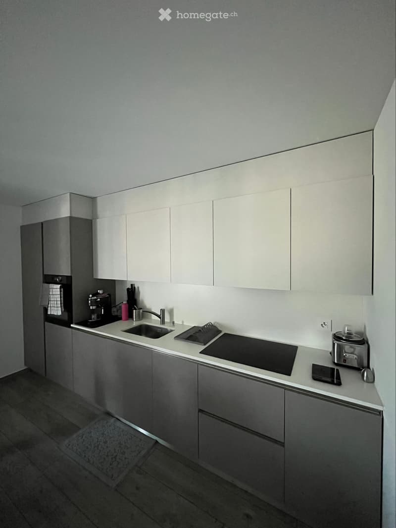 Cerco Subentrante 2.5 locali (3)