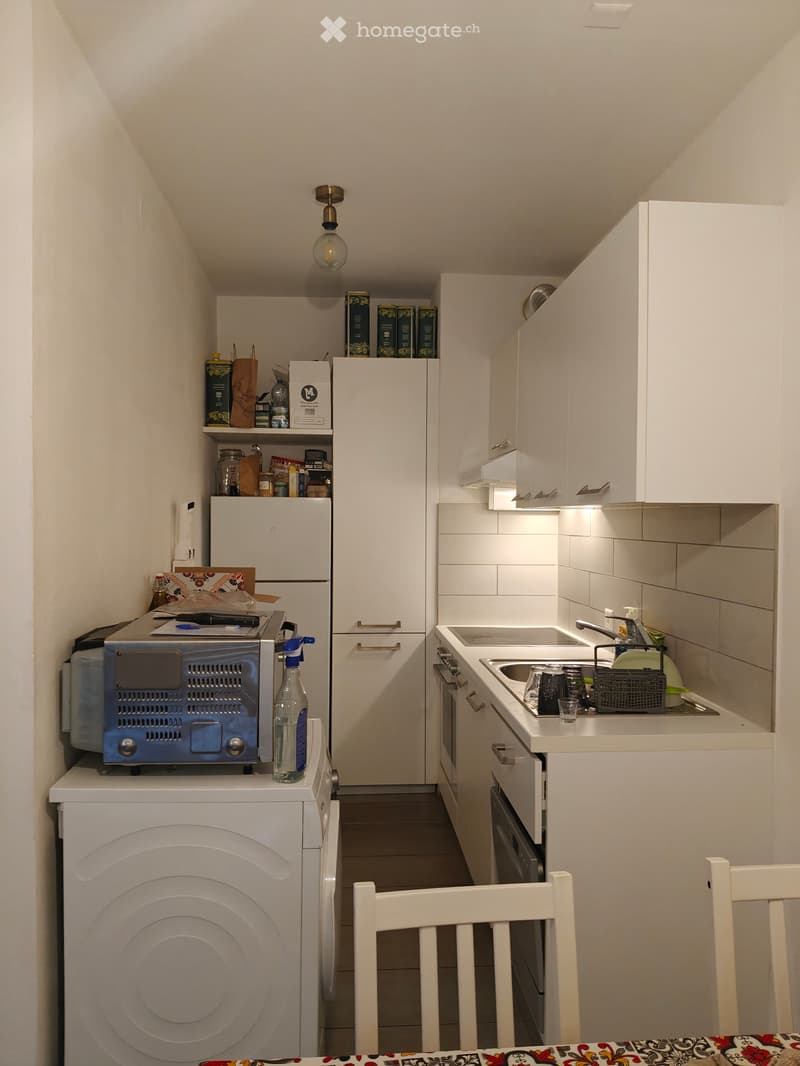 Paradiso 2.5 con Terrazzino e garage (5)