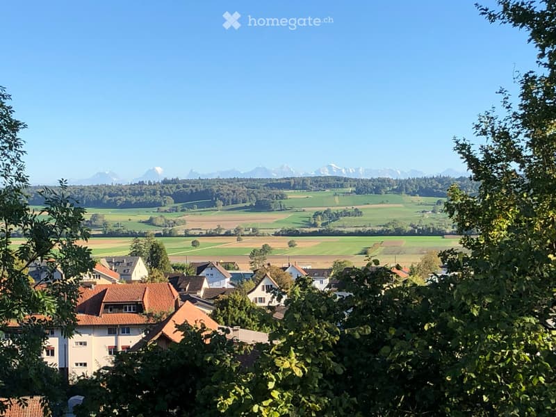 Schöne Attikawohnung über den Dächern von Selzach (10)