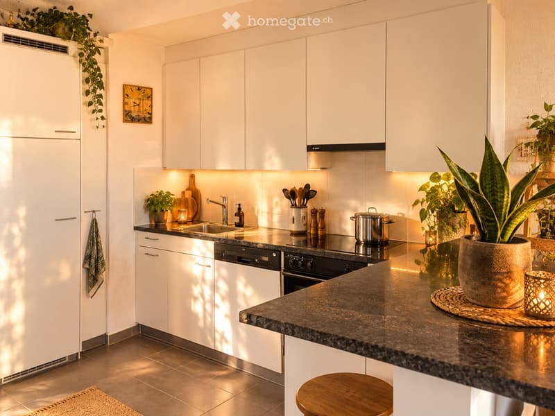 Suche Nachmieter für 3,5 Zimmerwohnung in Zufikon (1)