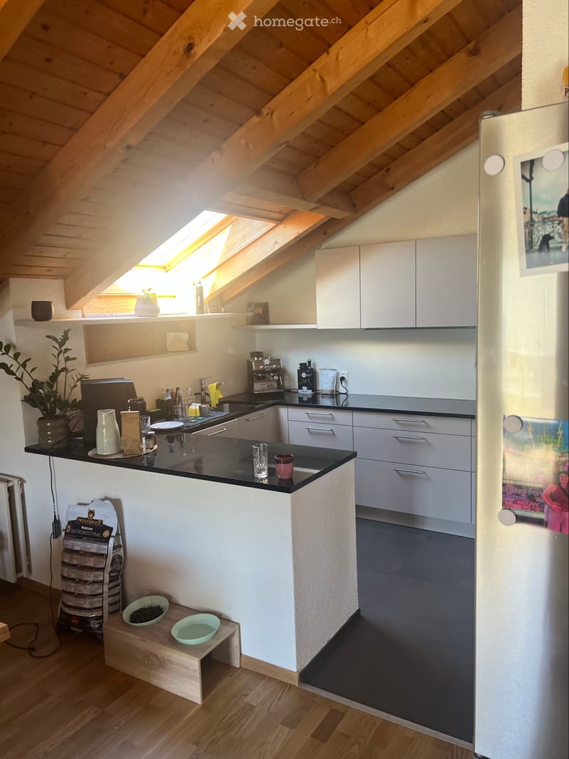 Suchen Nachmieter für 4.5 Zimmer Wohnung in Therwil (3)