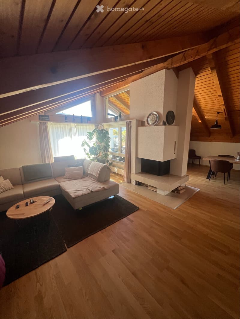 Suchen Nachmieter für 4.5 Zimmer Wohnung in Therwil (2)