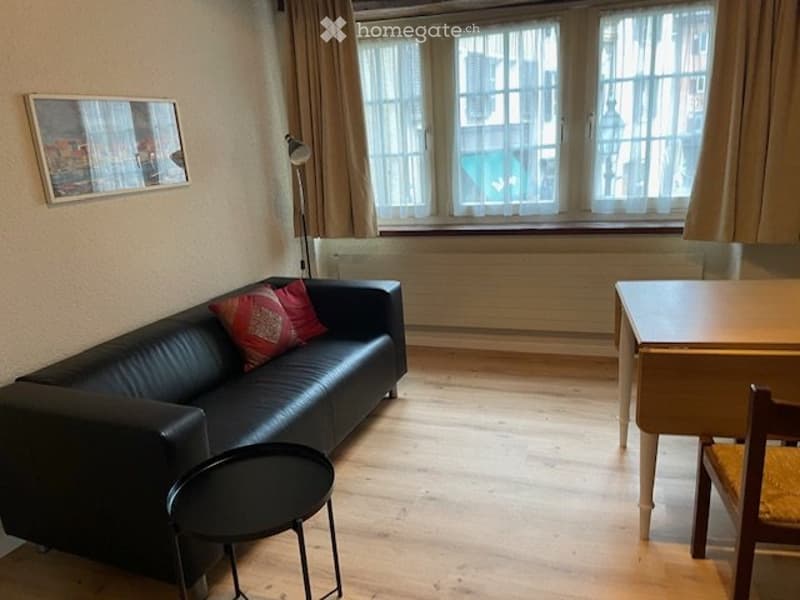 Voll möblierte 2-Zimmer Wohnung im Zentrum von Baden (3)