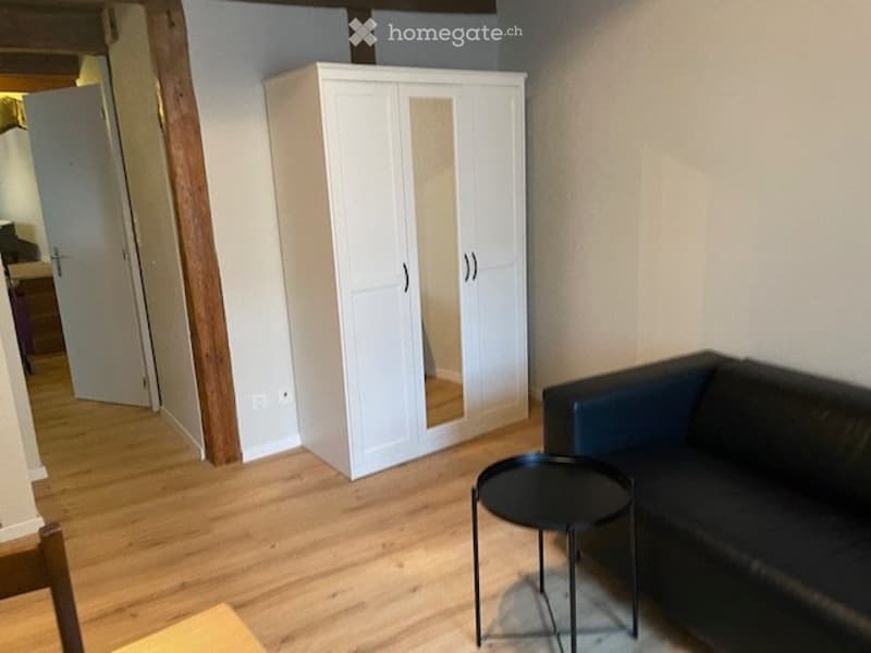 Voll möblierte 2-Zimmer Wohnung im Zentrum von Baden (5)