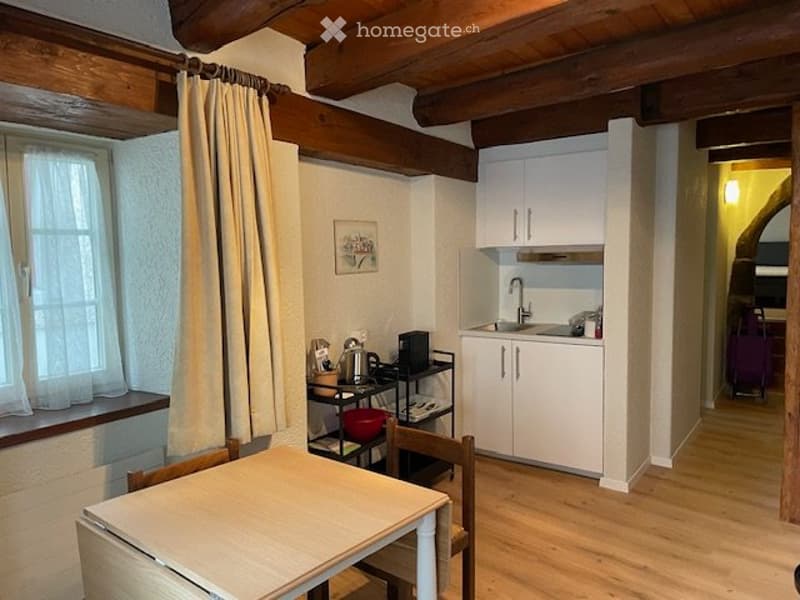 Voll möblierte 2-Zimmer Wohnung im Zentrum von Baden (2)