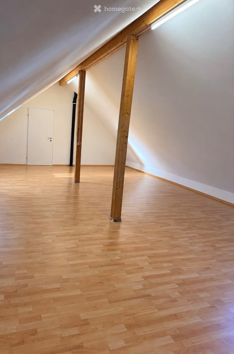 4.5 Zimmer Wohnung mit zusätzlichem Dachboden (5)