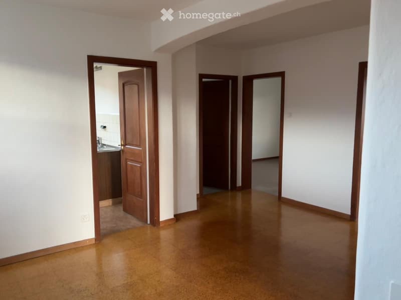 Charmante 3.5-Zimmer Altbauwohnung sucht Nachmieter (118 m²) (4)