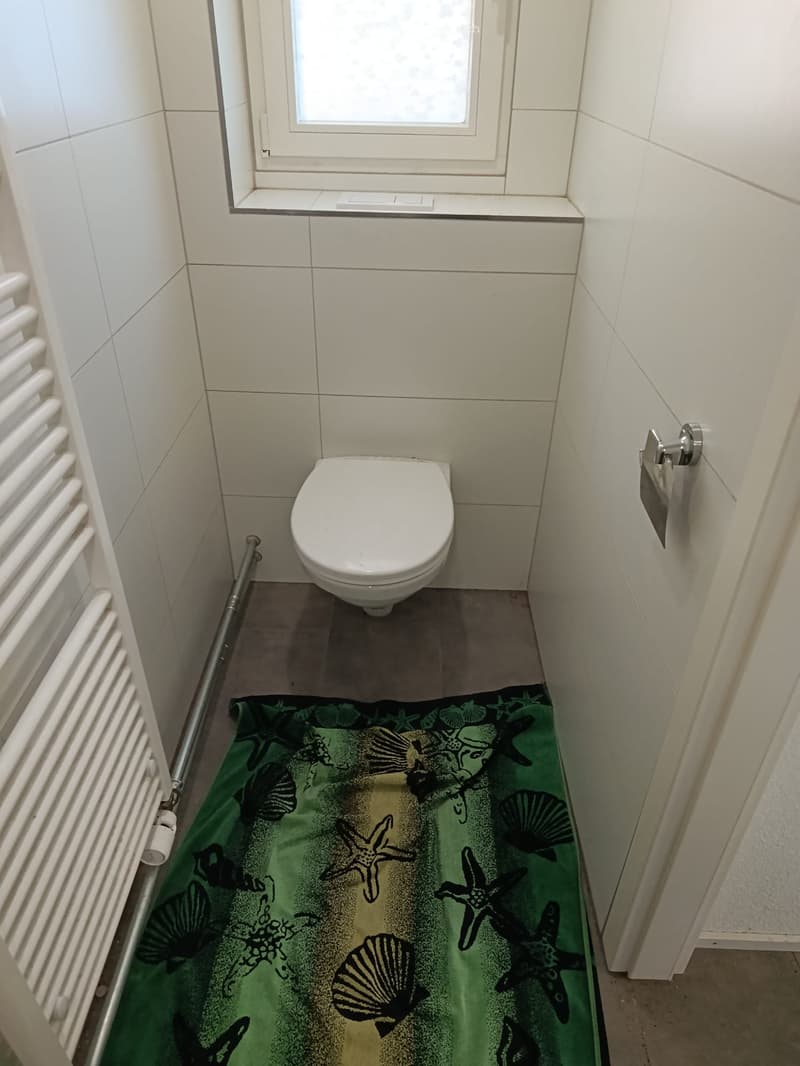 Nachmieter 2.5 Zimmer Altstadt (2)