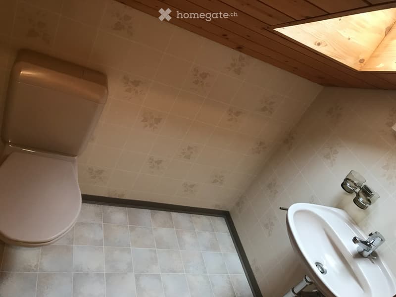 Gepflegte 2 Zimmer-Dachwohnung (5)