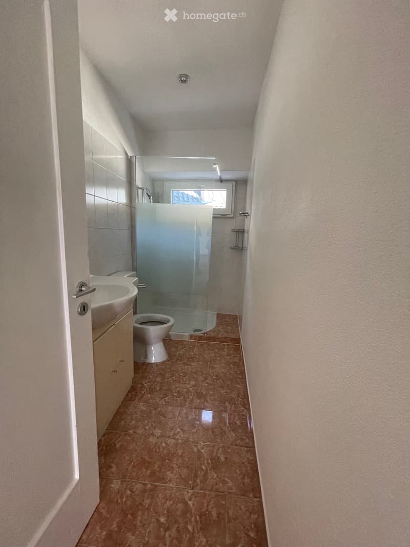 Affitto appartamento 2 1/2 locali rinnovato (4)