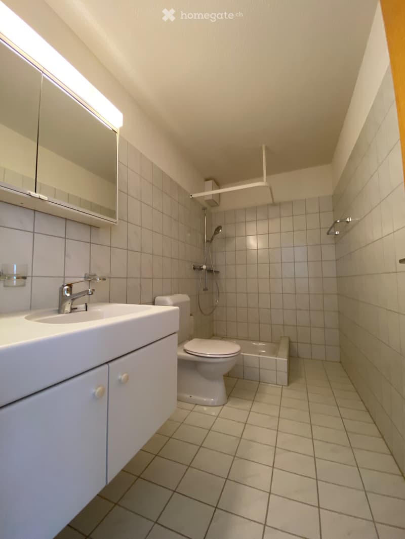 Wohnung für Single nähe Aarau (5)