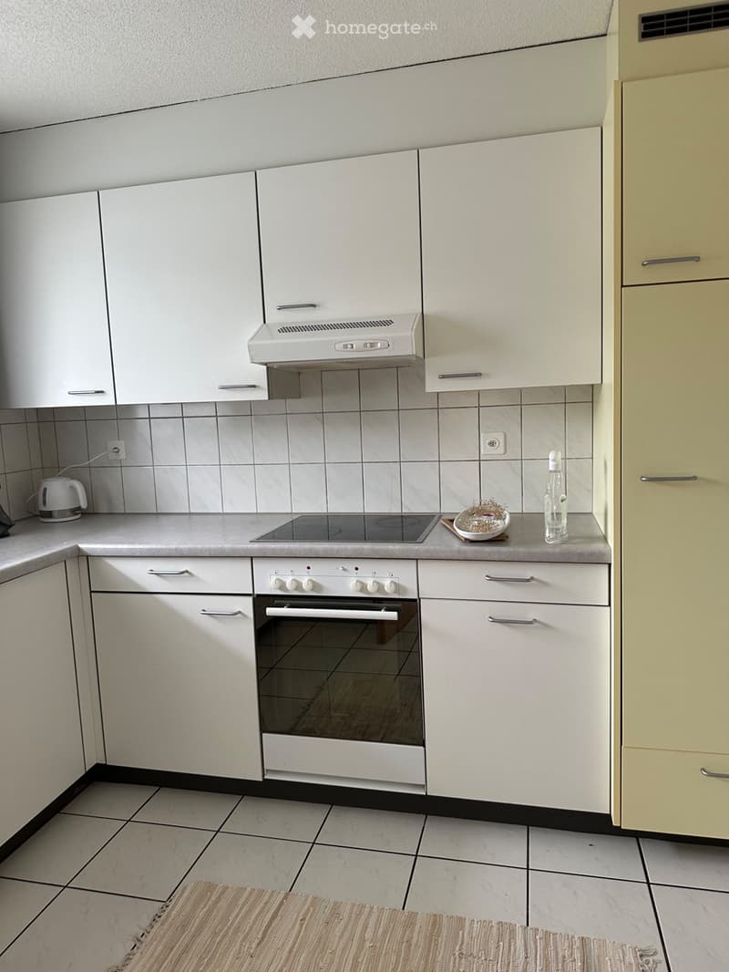 Wohnung für Single nähe Aarau (2)