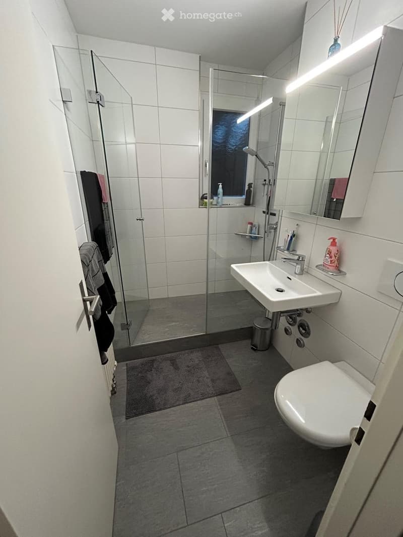 2,5-Zimmer-Wohnung (54 m²) mit Parkplatz  Frenkendorf (3)