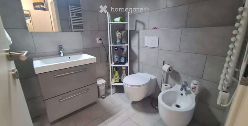 Affittasi 2 locali con garage a 950.- (4)
