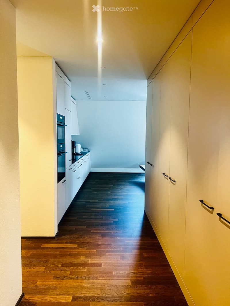 Neuwertige 3.5-Zimmer-Wohnung in Küssnacht am Rigi (5)