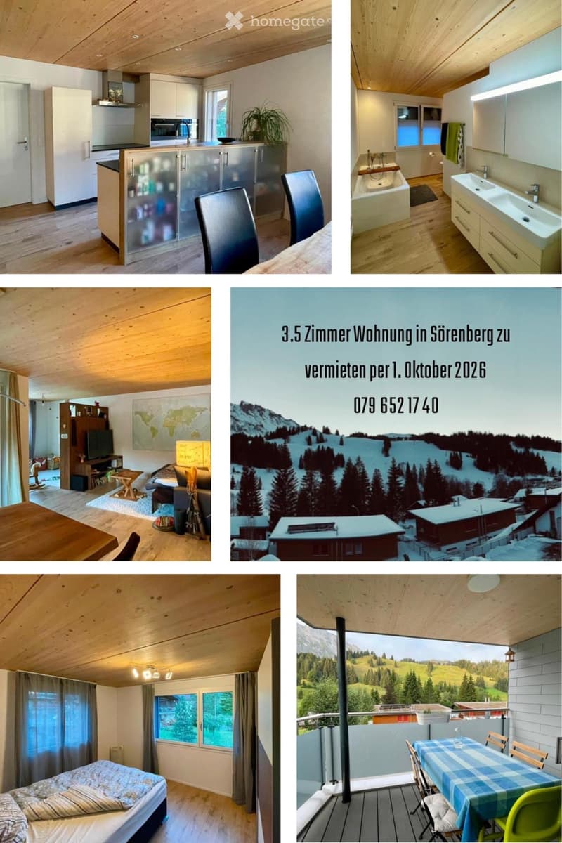 Schöne 3 1/2 Zimmer Wohnung (1)