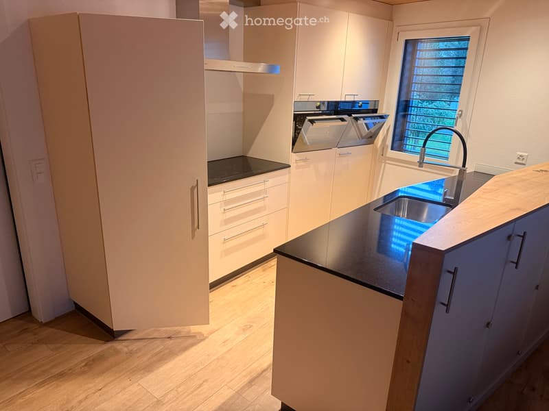 Schöne 3 1/2 Zimmer Wohnung (3)