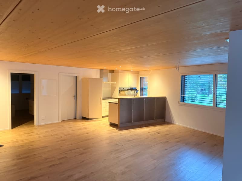 Schöne 3 1/2 Zimmer Wohnung (4)