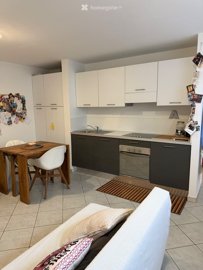 APPARTAMENTO 2.5 - 870 fr./mese incl. spese + elettricità (3)