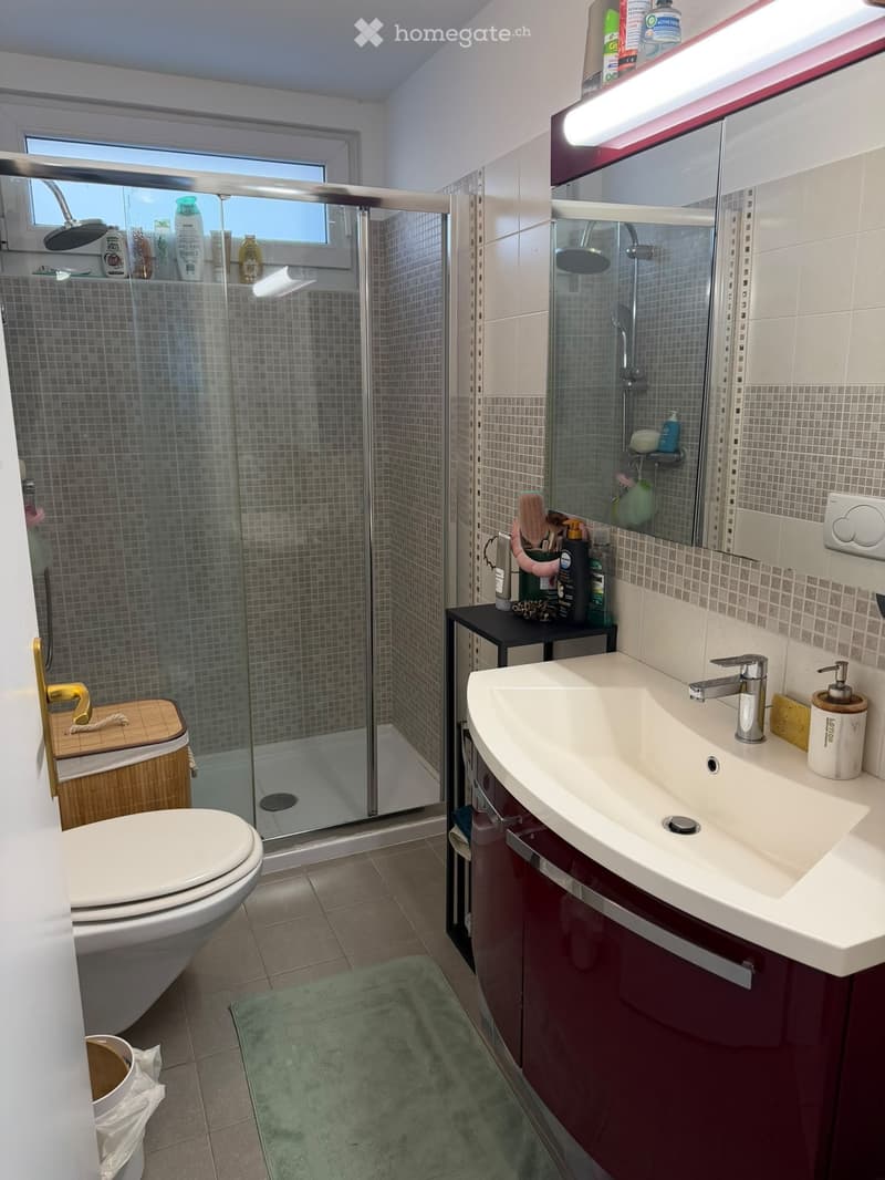 APPARTAMENTO 2.5 - 870 fr./mese incl. spese + elettricità (1)
