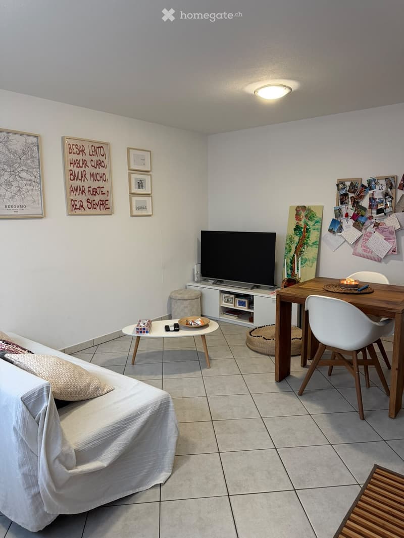 APPARTAMENTO 2.5 - 870 fr./mese incl. spese + elettricità (4)
