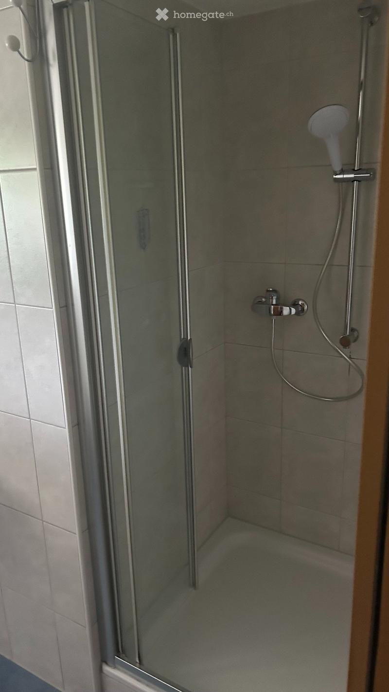 Zu vermieten 3.5-Parterre-Wohnung (4)