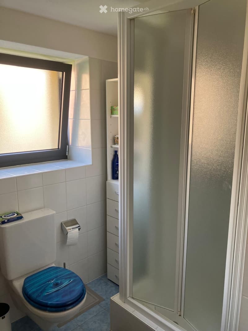 Appartamento in affitto in casa bifamiliare (4)