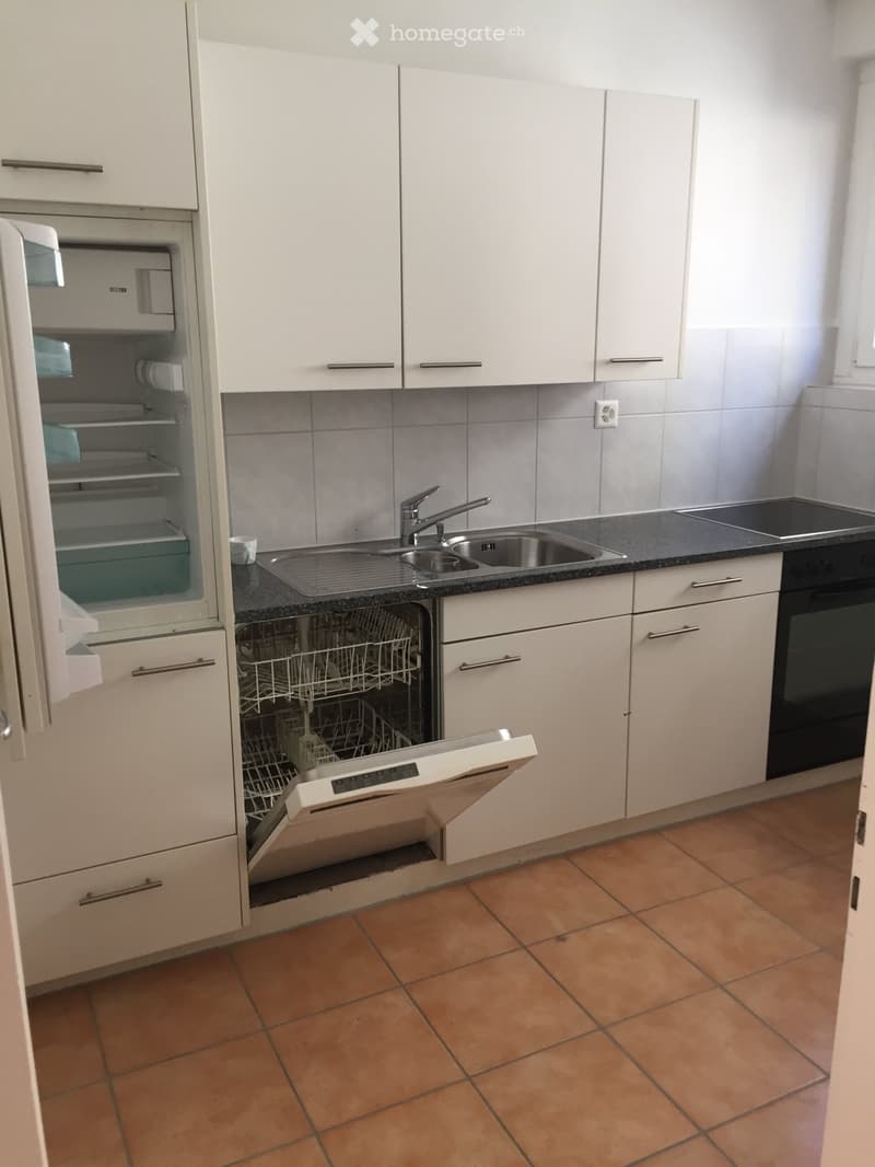 Schöne 4.5 Zimmerwohnung zu Vermieten im Hochpartere (3)