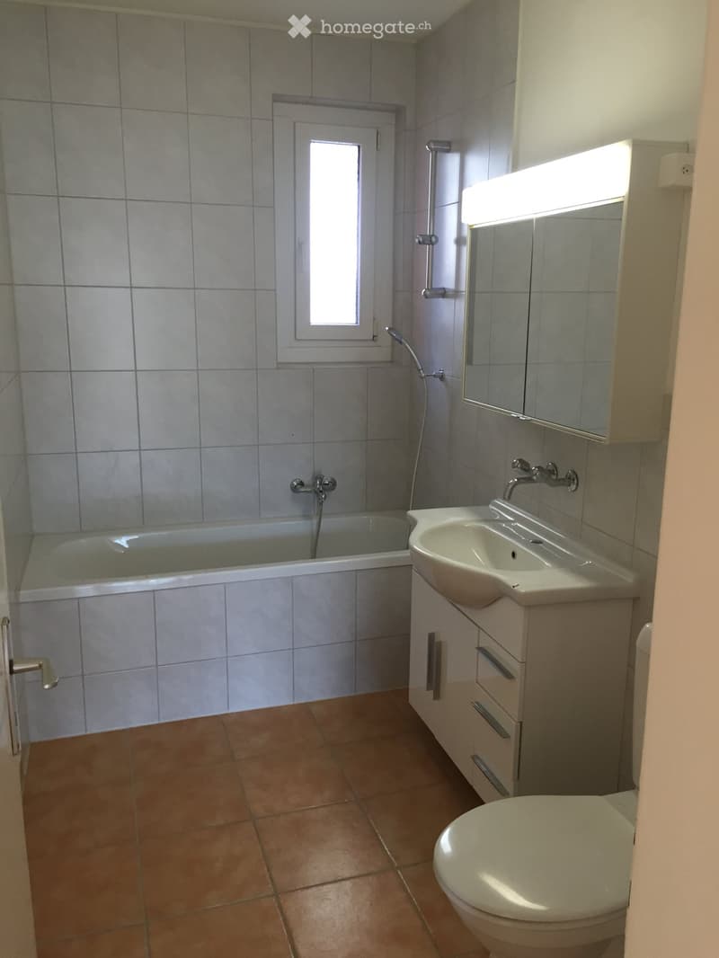 Schöne 4.5 Zimmerwohnung zu Vermieten im Hochpartere (4)