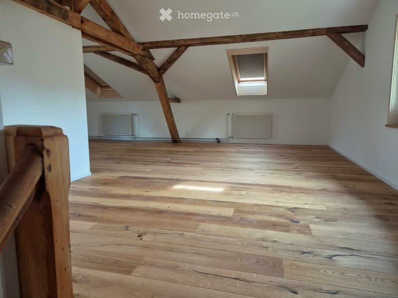 Modern saniertes Einfamilienhaus mit grossem Garten (3)