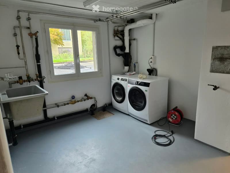Modern saniertes Einfamilienhaus mit grossem Garten (5)