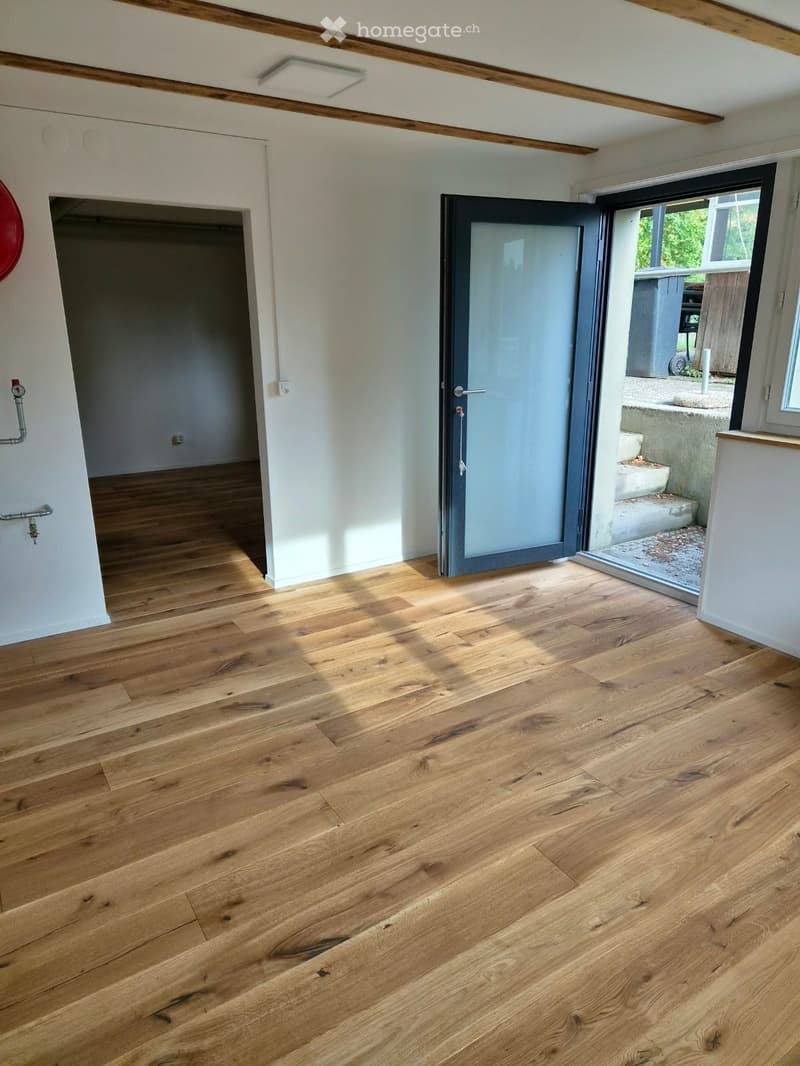 Modern saniertes Einfamilienhaus mit grossem Garten (4)