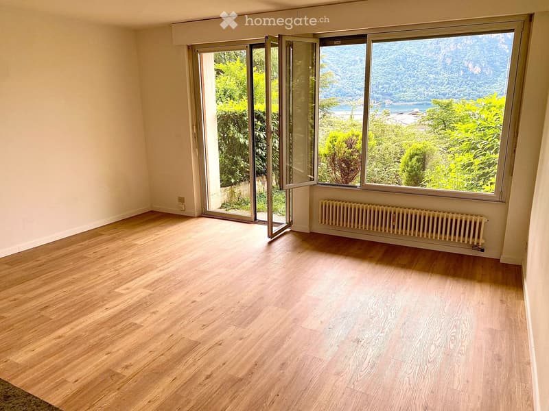 Bissone grazioso monolocale con giardino (1)
