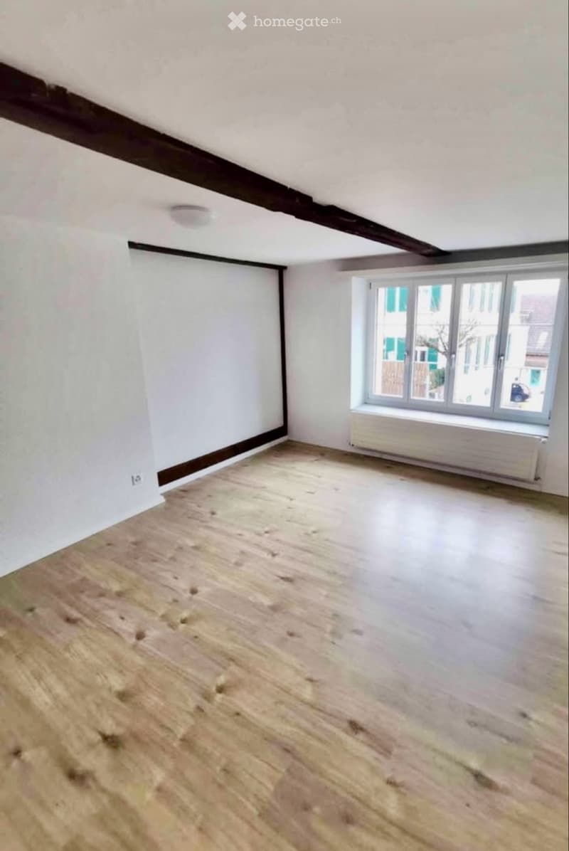 Charmante 2.5-Zi.-EG-Wohnung mit Sichtbalken & neuer Küche (5)